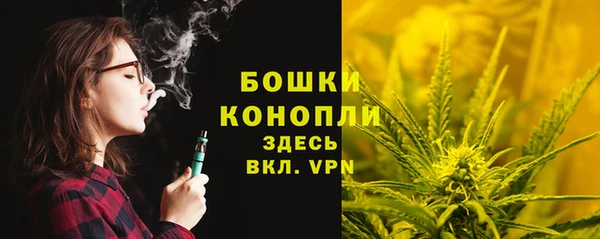 бутират Елабуга