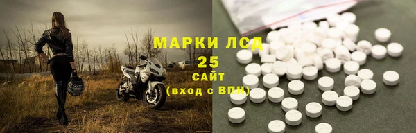 стафф Ельня