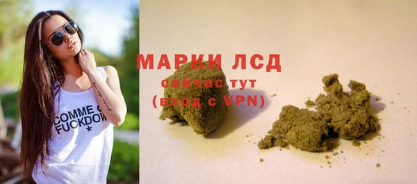 стафф Ельня