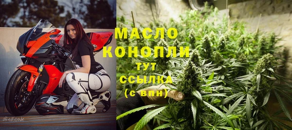 стафф Ельня