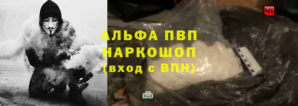 стафф Ельня