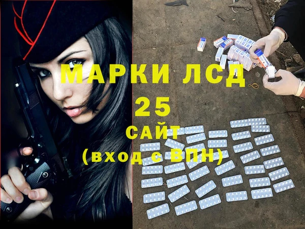 стафф Ельня