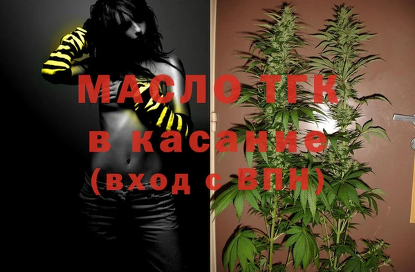стафф Ельня