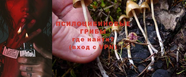 стафф Ельня