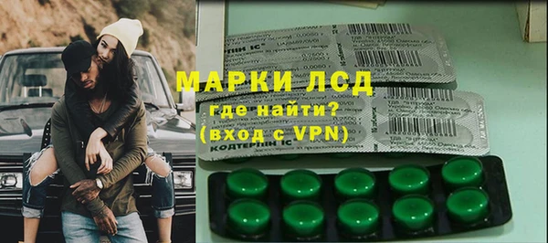 стафф Ельня