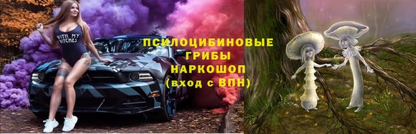 стафф Ельня