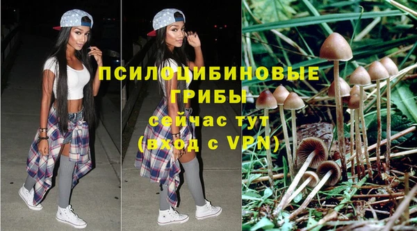 ALPHA PVP Елизово