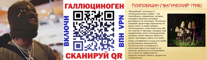 Купить закладки  Кашира  Псилоцибиновые грибы Psilocybe 
